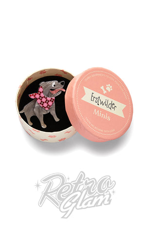 Erstwilder Staffy Stan Mini Brooch box Erstwilder Staffy Stan Mini Brooch box