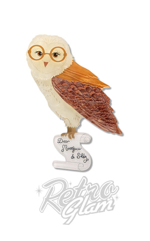 Erstwilder Barny Owl Brooch