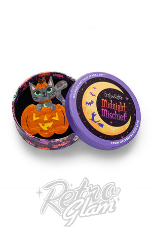 Erstwilder Cat O'Lantern Brooch box
