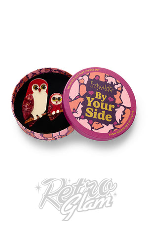 Erstwilder Eyes On You Brooch Pair box