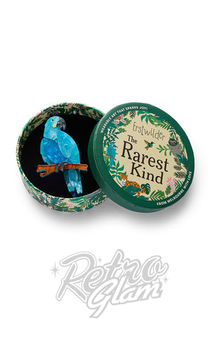 Erstwilder Glaucous Macaw Brooch box