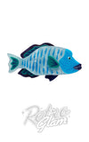 Erstwilder Maori Wrasse Brooch