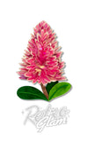Erstwilder Pink Mulla Mulla Brooch