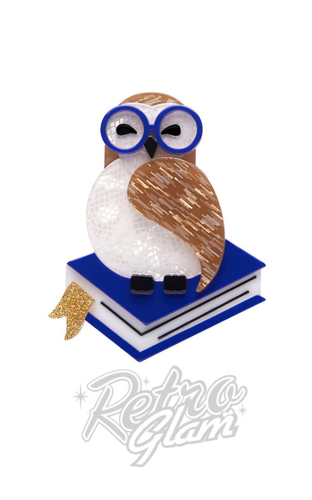 Erstwilder Studious Snow Owl Brooch