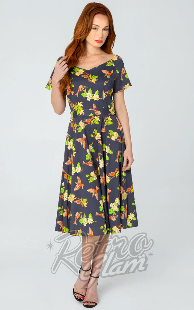 Miss Lulo Bella Dress in Robins Print