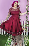 Dolly and Dotty Tess Lace Sleeved Dress in Burgundy pinup